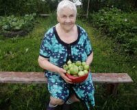 помоги соседу_5
