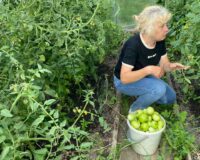 помоги соседу_7