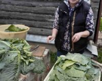 акция здоровье не запустим_3