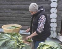 акция здоровье не запустим_4