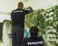акция зимний сад_2