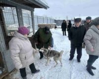 новости овп_06