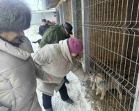 новости овп_08