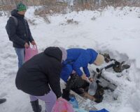 село парское_1