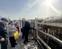 новости овп_6