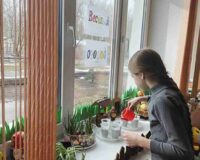 огород на подоконнике_11