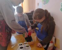 огород на подоконнике_3