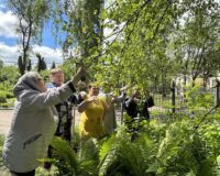 новости овп_6
