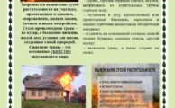 Школа безопасности: «Останови огонь — не жги сухую траву»