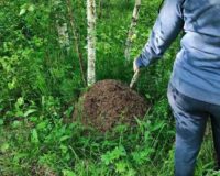 спортивно-экологический фестиваль_3