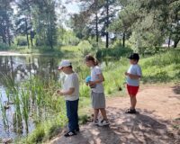 площадка_3