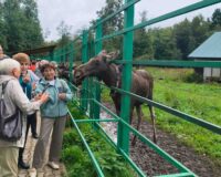 укрепление командного духа_1