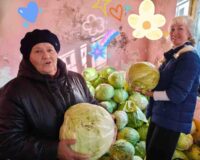 акция капустник_12