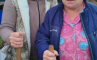 Акция «Капустник»