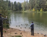 культурная перезагрузка_1
