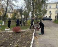 новости овп_04