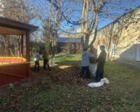 новости овп_11